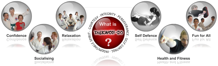 What is Taekwon-Do?